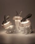 Haoshi Rabbit Stand Lamp Spacio India