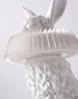 Haoshi Rabbit Stand Lamp Spacio India