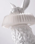 Haoshi Rabbit Stand Lamp Spacio India