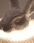 Haoshi Rabbit Stand Lamp Spacio India
