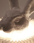 Haoshi Rabbit Stand Lamp Spacio India