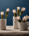 Haoshi Sparrow Vase Grand Spacio India
