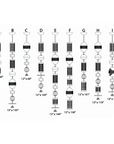 Illustrations of light designs with measurements on a white background
