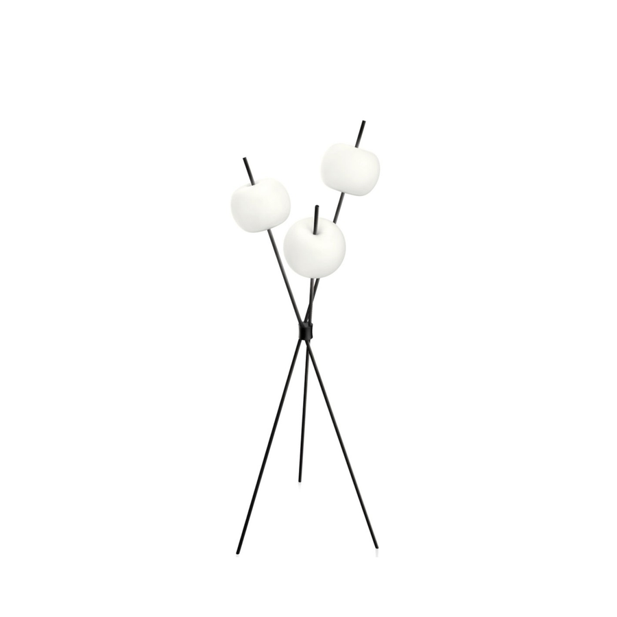 KDLN Kushi Black Floor Lamp on a white back ground from the Luxury Decorative Lighting Collection of Spacio India