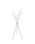 KDLN Kushi Gold Floor Lamp on a white back ground from Spacio India Decorative Lighting Collection