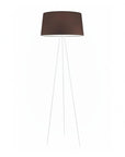 Floor lamp with a brown shade on a white background