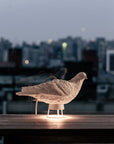 Lamp Haoshi Dove X Light 02 Spacio India