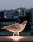 Lamp Haoshi Dove X Light 02 Spacio India