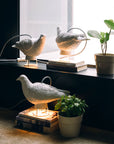 Lamp Haoshi Dove X Light 02 Spacio India