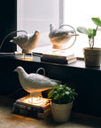Lamp Haoshi Dove X Light 02 Spacio India