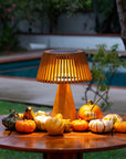 Solar lamp on a wooden table with pumpkins and gourds in a garden setting