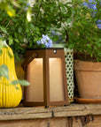 Solar lantern on a wooden surface with potted plants in the background