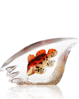 Maleras Crystal Sculpture Coral Fish Orange on white back ground for modern interiors available at Spacio India from the Sculptures and Art Objects Collection.