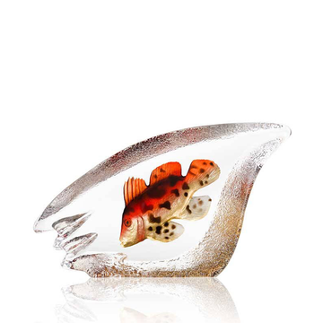 Maleras Crystal Sculpture Coral Fish Orange on white back ground for modern interiors available at Spacio India from the Sculptures and Art Objects Collection.