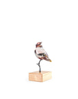 Maleras Crystal Into The Woods Waxwing Limited Edition Sculpture on a white back ground for modern interior available at Spacio India from Sculpture and Art Objects Collection.