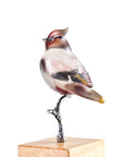 Close look of Maleras Crystal Into The Woods Waxwing Limited Edition Sculpture on a white back ground for modern interior available at Spacio India from Sculpture and Art Objects Collection.