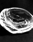 Backside titlted look of Maleras Crystal Sculpture Playing Otters Put on a black back ground available at Spacio India from the Sculptures and Art Objects Collection