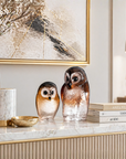 Brown Owl