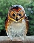 Maleras Brown Crystal Owl Swedish Glass Art with natural background – fine Swedish crystal owl sculpture by Maleras, luxurious handcrafted decor at Spacio India.