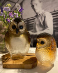 Maleras Small Crystal Brown Owl Swedish Glass Art, artistically presented alongside a larger crystal owl sculpture, showcasing intricate detailing and rich hues, available at Spacio India retail stores and online.