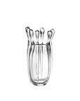 Clear crystal vase with unique design on a white background