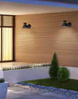 Modern outdoor setting with wooden wall, garden, and lighting fixtures.
