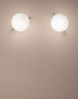 Masiero Posy Wall Lamp Spacio India