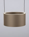 Bronze-colored hanging planter on a light gray background
