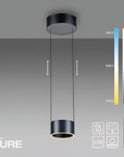 Black pendant light with a color temperature scale on a gray background, featuring the brand 'PURE'.