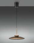 Modern pendant light with black and gold design on a gray background