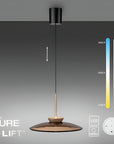 Modern pendant light with color temperature scale on a gray background