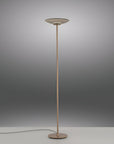 Floor lamp with a metallic base and shade on a gray background
