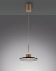 Modern pendant light with a dark shade and gold accents on a gray background