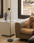 Living room with a floor lamp, sculpture, and dog on a couch