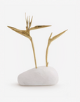 Bird of Paradise III White