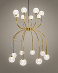 Penelope Chandelier Spacio India