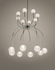Penelope Chandelier Spacio India