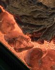 A close up of the Planika Electric LED Astro Wall Mounted fireplace with rocks and logs, showcasing its design flexibility.
