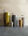Excil Collection