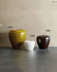 Exori Collection