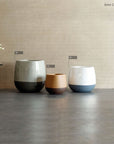 Extor Collection