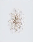 A decorative nature inspired flower shape wall light on a grey background