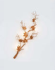 A branch shaped wall light with metal and glass