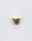 Close up of a wall light like flowing water on a white background