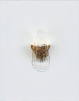 Close up of a wall light like flowing water on a white background