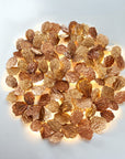 Decorative wall light fixture with leaf-like design on a white background