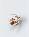 Wall Light with a glass sculpture of a bird on a white background
