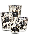 A set of Baobab Black Pearls Candle Max 16 MAX16PB, perfect for adding an exotic touch to any space.