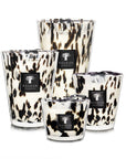 A set of Baobab Black Pearls Candle Max 24 MAX24PB scented candles.