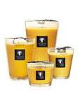 A group of yellow Baobab Zanzibar Spices scented candles on a white background.